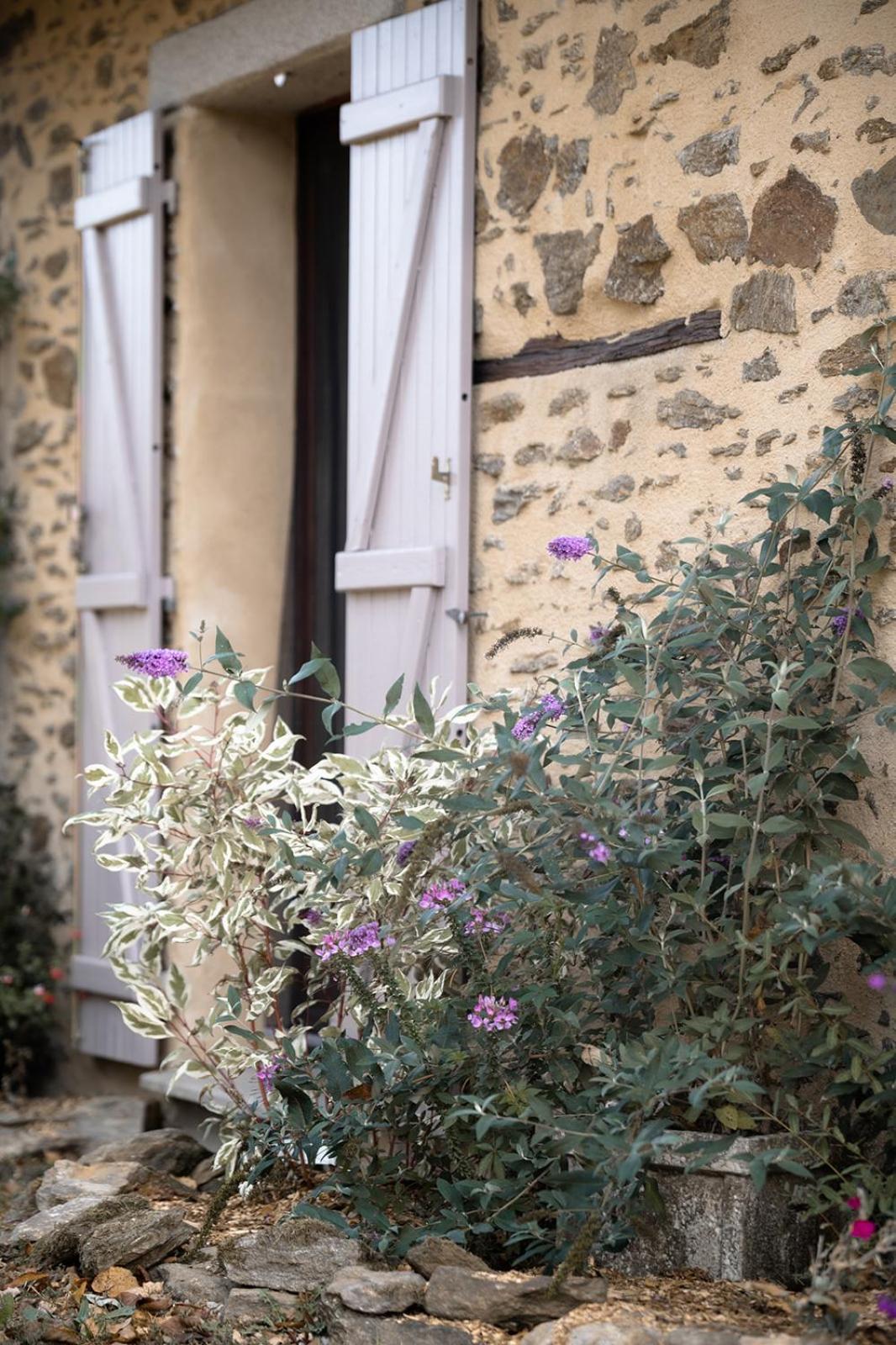 Domaine Abbey-Rose 호텔 Champsac 외부 사진
